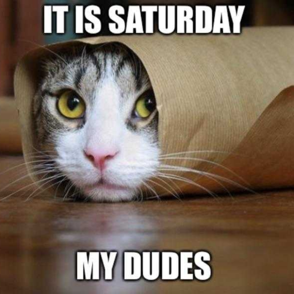 💜Quick Listings for Lives💜 - Picture 6 of 12